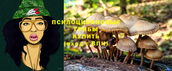 соль ск Дмитровск