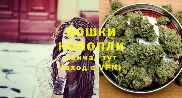 бутират Дмитриев
