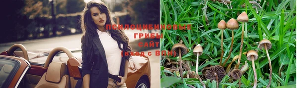 соль ск Дмитровск