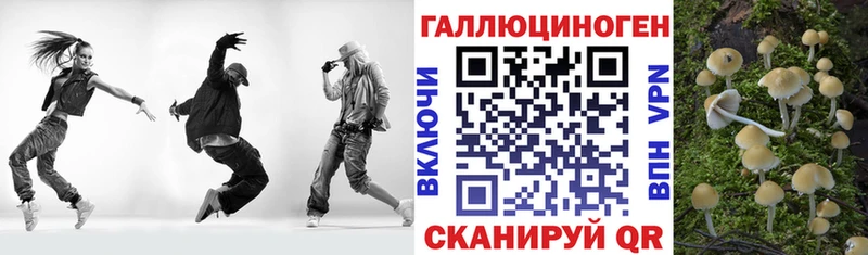 Галлюциногенные грибы GOLDEN TEACHER  Купить  Чердынь 